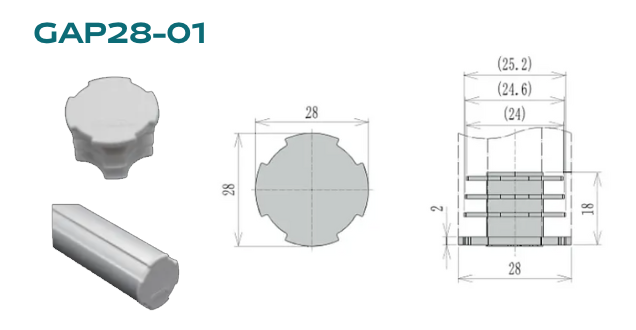 GAP28-01 - DTECH